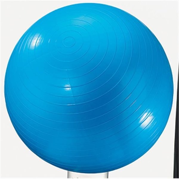 Dick Martin Sports Dick Martin Sports Masgym24 Exercise Ball 24In Blue MASGYM24